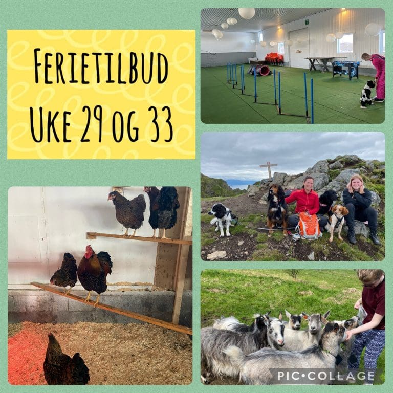 Ferietilbud uke 29 og 33 på Ulpi Gård