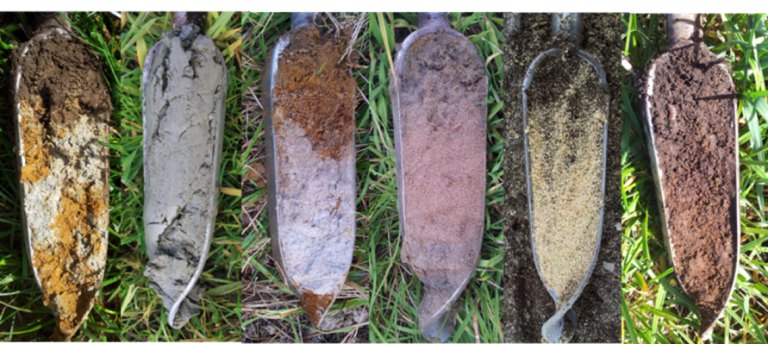 Jordbor viser ulike jordtyper, Foto: Siri Svendgård-Stokke (NIBIO)