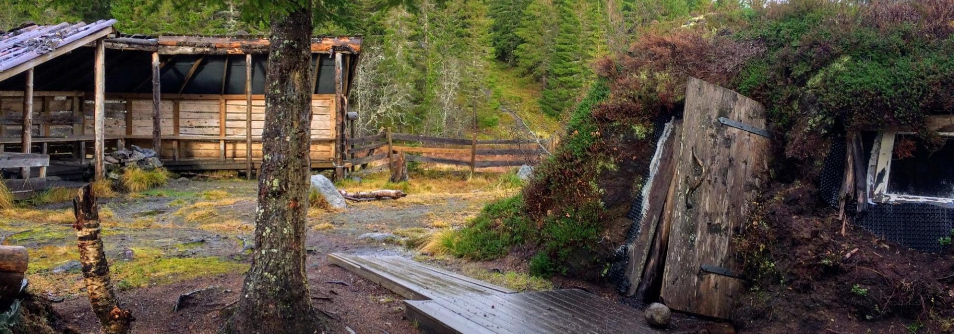 Fortellerstund i gammen