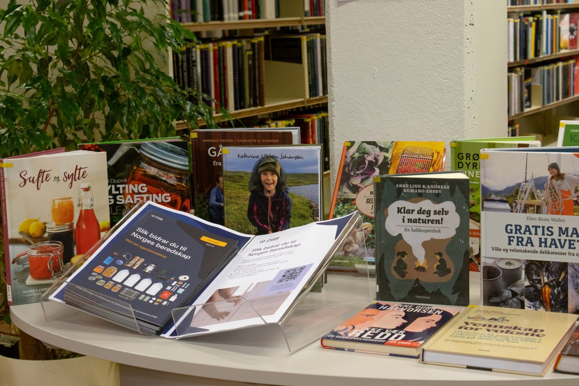 You are currently viewing Hadsel folkebibliotek setter fokus på egenberedskapsuka 2025